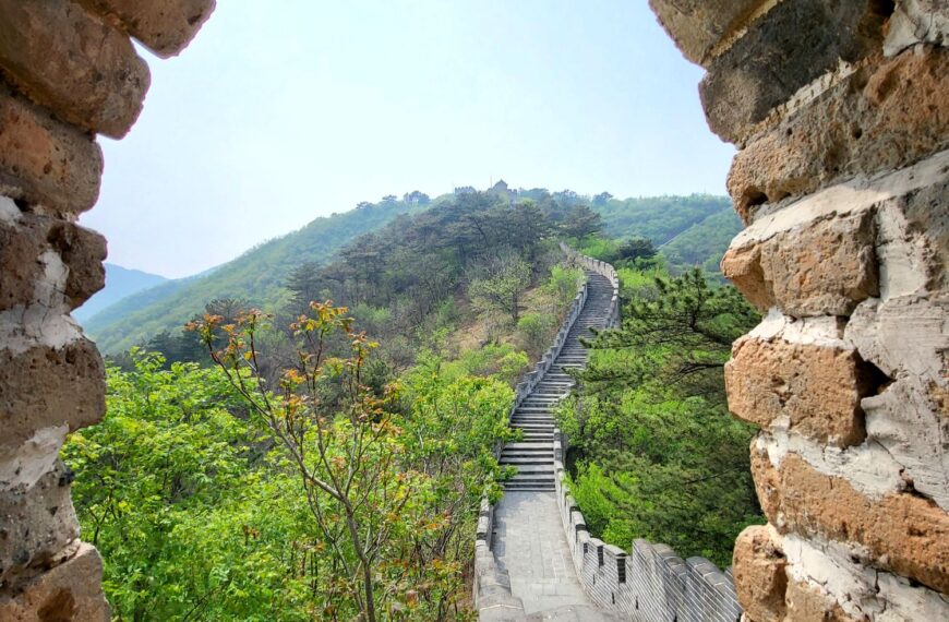 Terms, Privacy and Legal